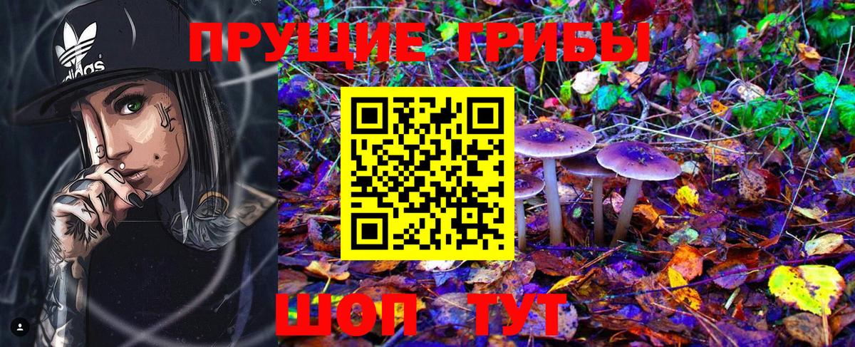 Галлюциногенные грибы Cubensis Кинель